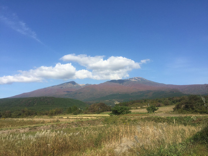 44498344_708687806183359_8026032710