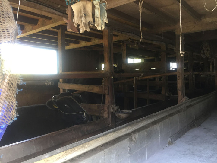 44715840_721383844884807_5922446484