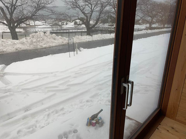 50701249_1994647040649252_865400507