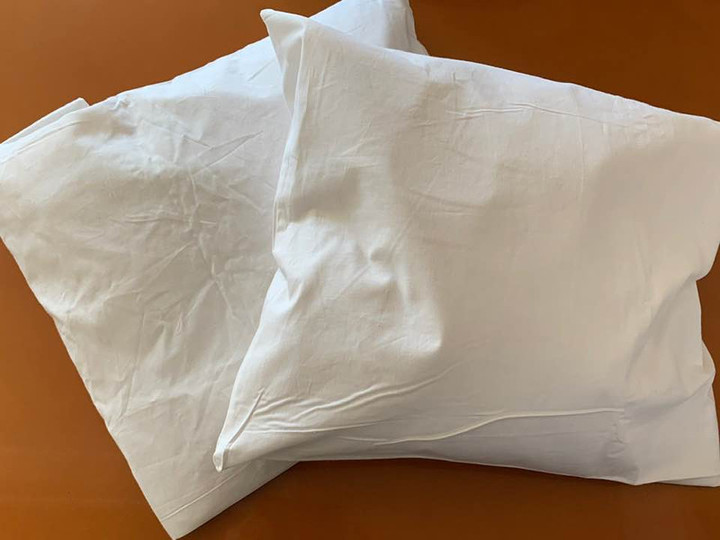 53037979_2059718017475487_825739852