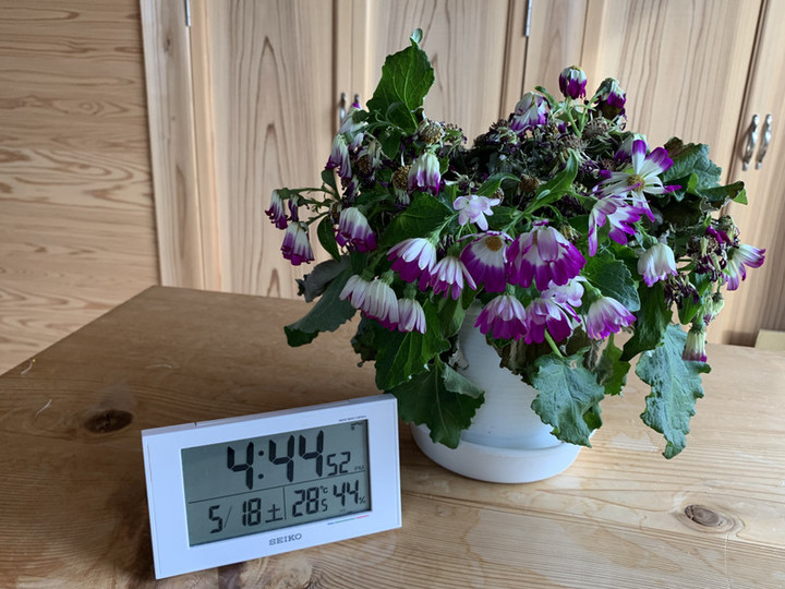 2a03d6867fe54c1b95c450f8da5ca4a7