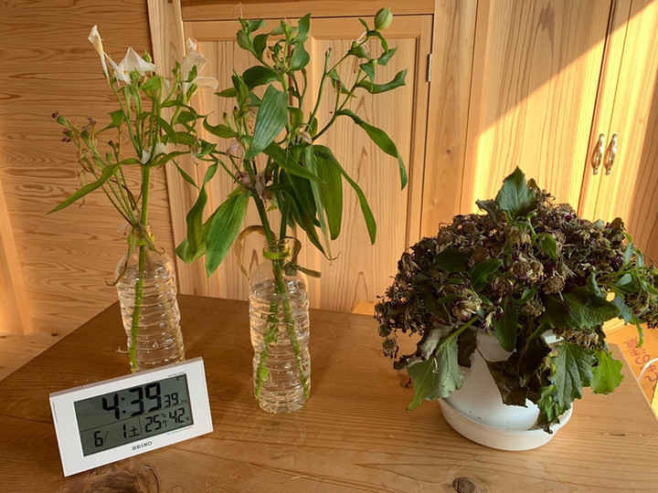 61772679_2204943696286251_208735852