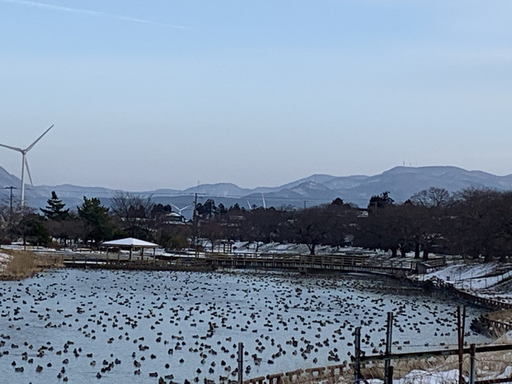 Cd9fec25ff884729a7862edb5643fb7f