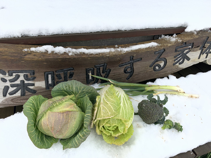 De576e77cdb84fd4b6b246cdb9dc2592