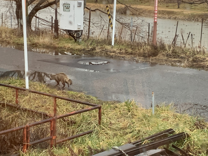 48db6d78513c427293fa6016b8783dd0