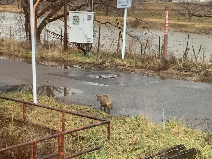 9fdb2a890dc04456a8925af5b75ad5d7