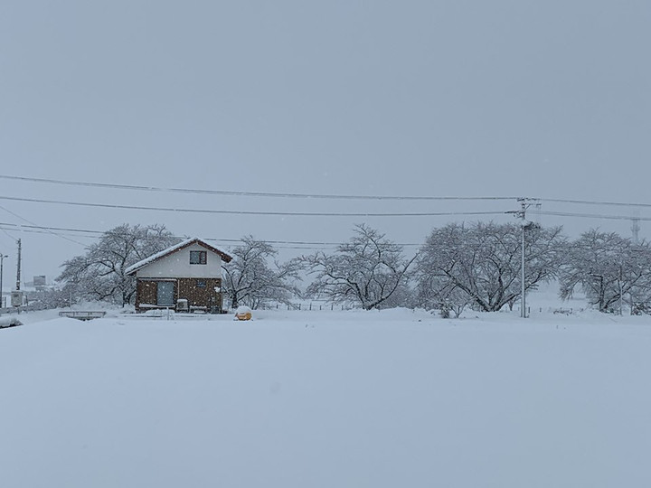 85030756_215905716115579_8479585865