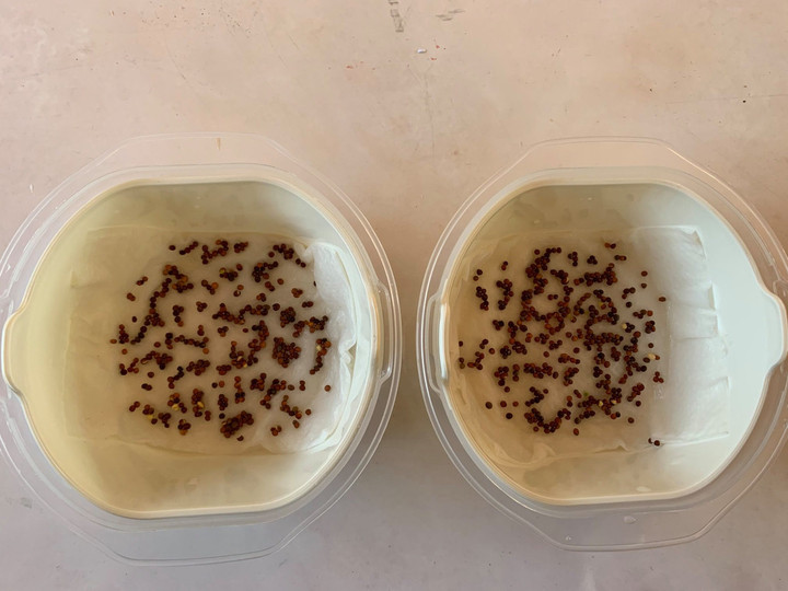 93269160_2832261360221145_884617596