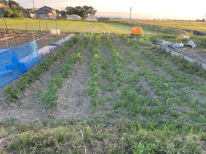 B60ba63ca9424141b85e0c7bad4181f5