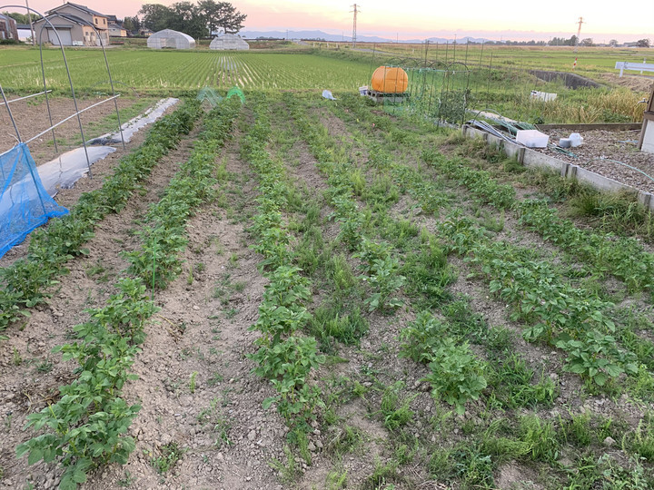 E1ccbe8fae8d4c2bbc68ec43a7c3e3ff