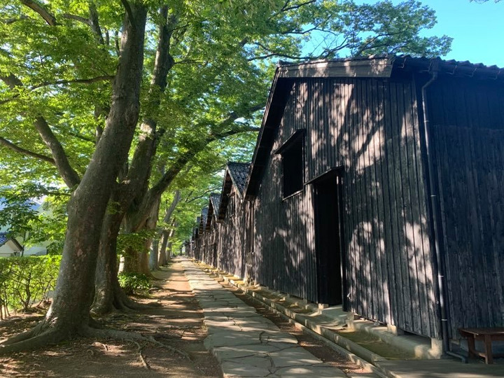 104275805_614876052714098_903529395