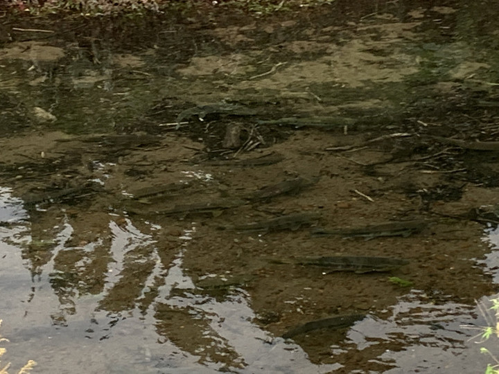 621c968ef95f44609a2667208dc6dc3b