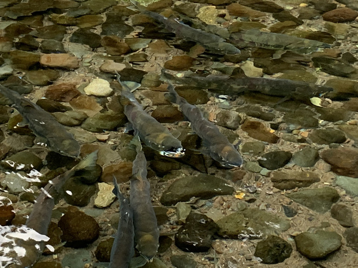 67e4d74b74e84747a5103b0f6707442c