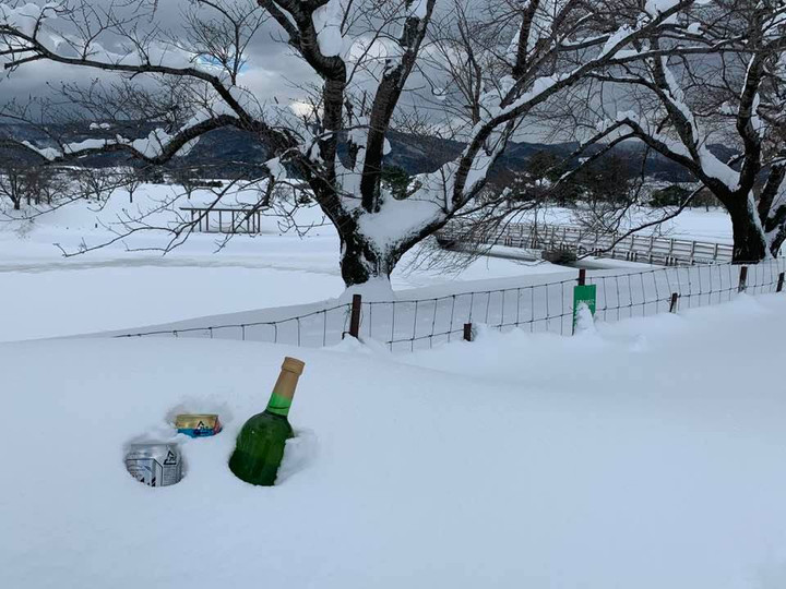 135922499_3574765982637342_47505144