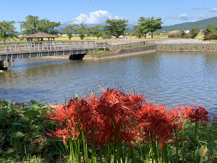 27cc31a54ba249ccbad9759a9982810f