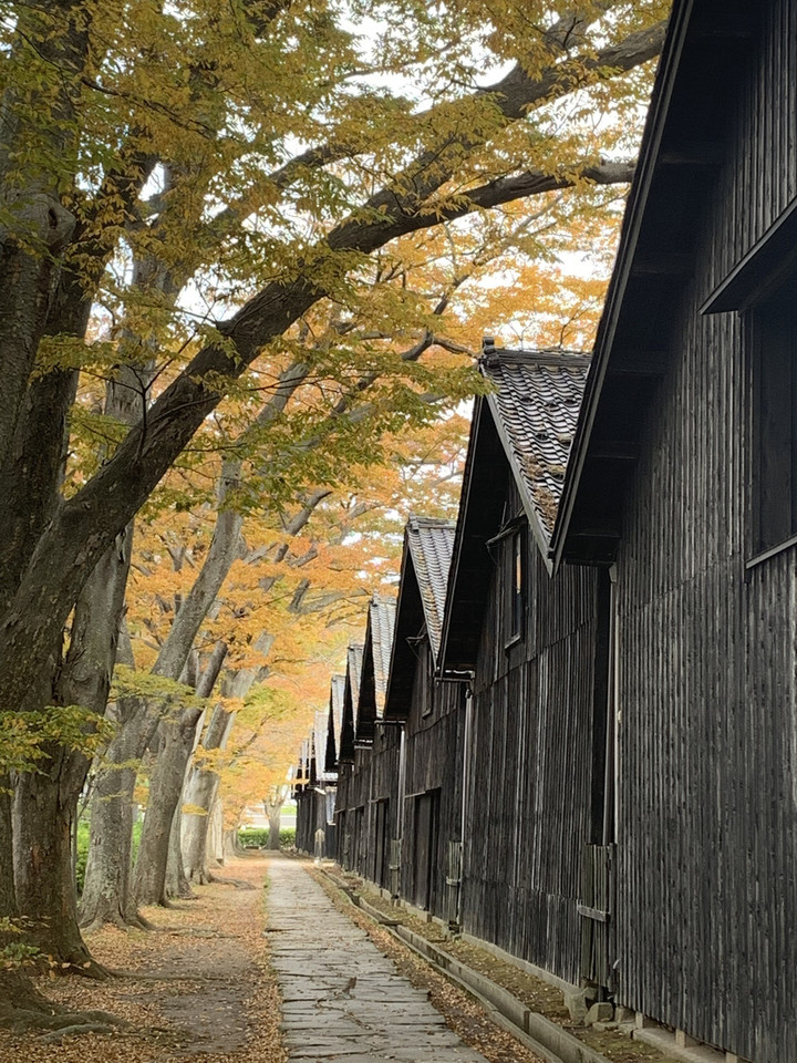 26e6a269cddc4fef82c7b016d402fb1e