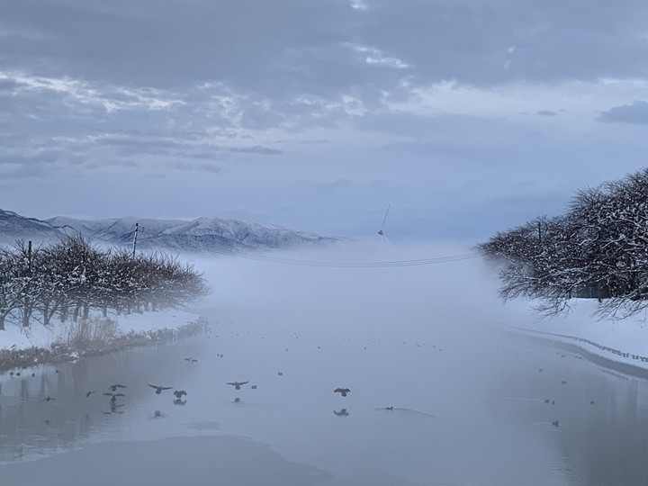 1ab4481dfebf402b96c457217800a8be