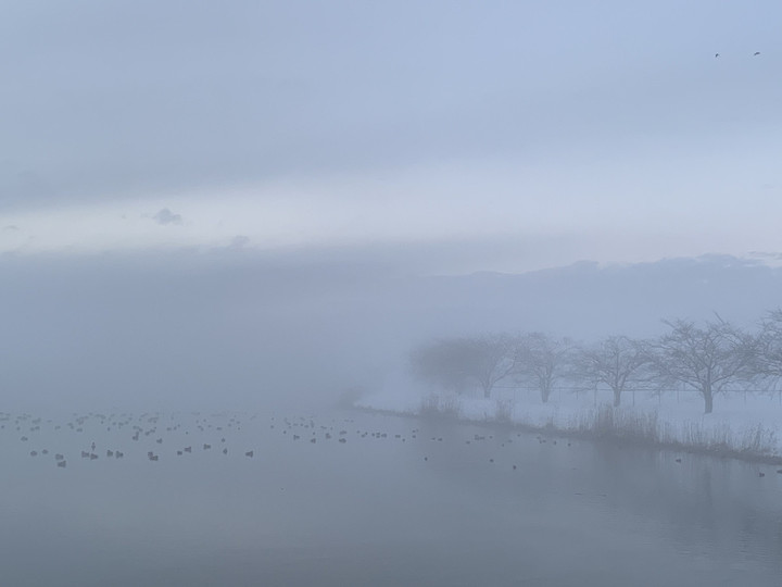 1f001af2c3de4b03ae3e09796208e872