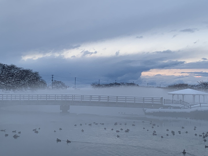 Ef87d4c24af741c994271666bba4f1d3