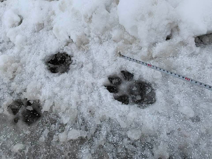 272024802_4724279847685944_25580259