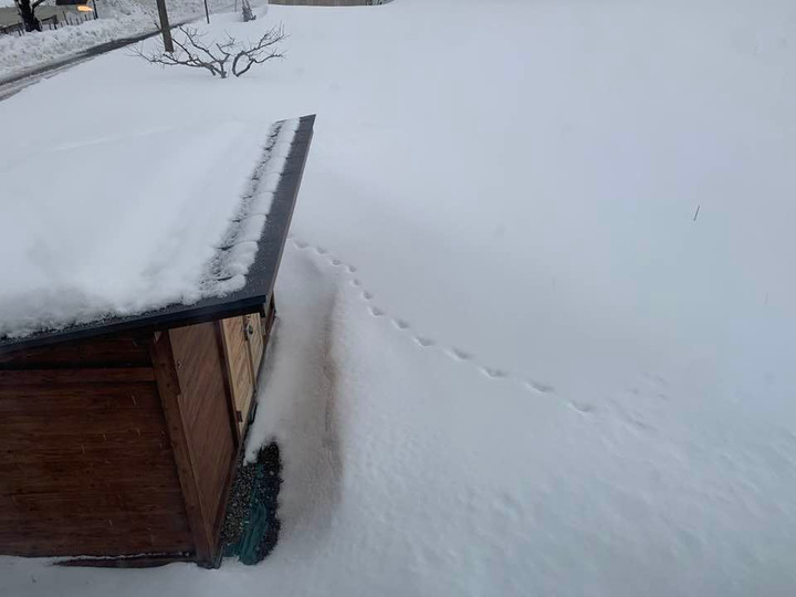 272089029_4724279954352600_82895250