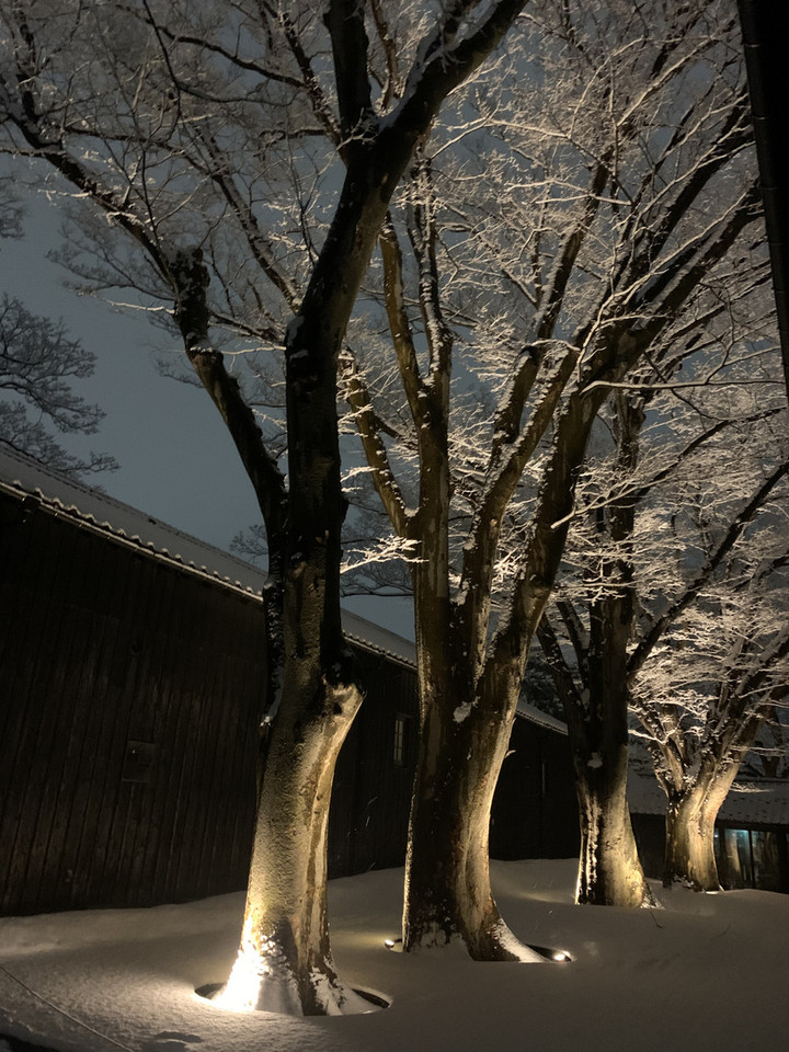 Cc6252b2e8d94067aaa4bc7b529cef9c